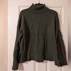 JCrew Wool turtleneck sweater